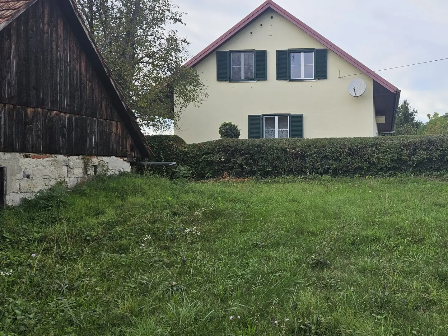 Immobilienbild 4