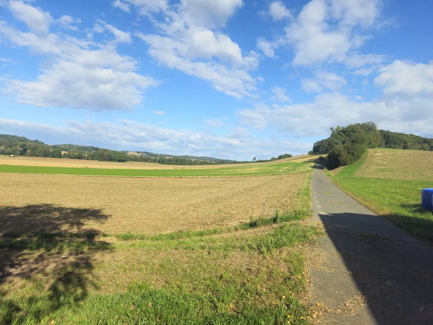 Immobilienbild 3