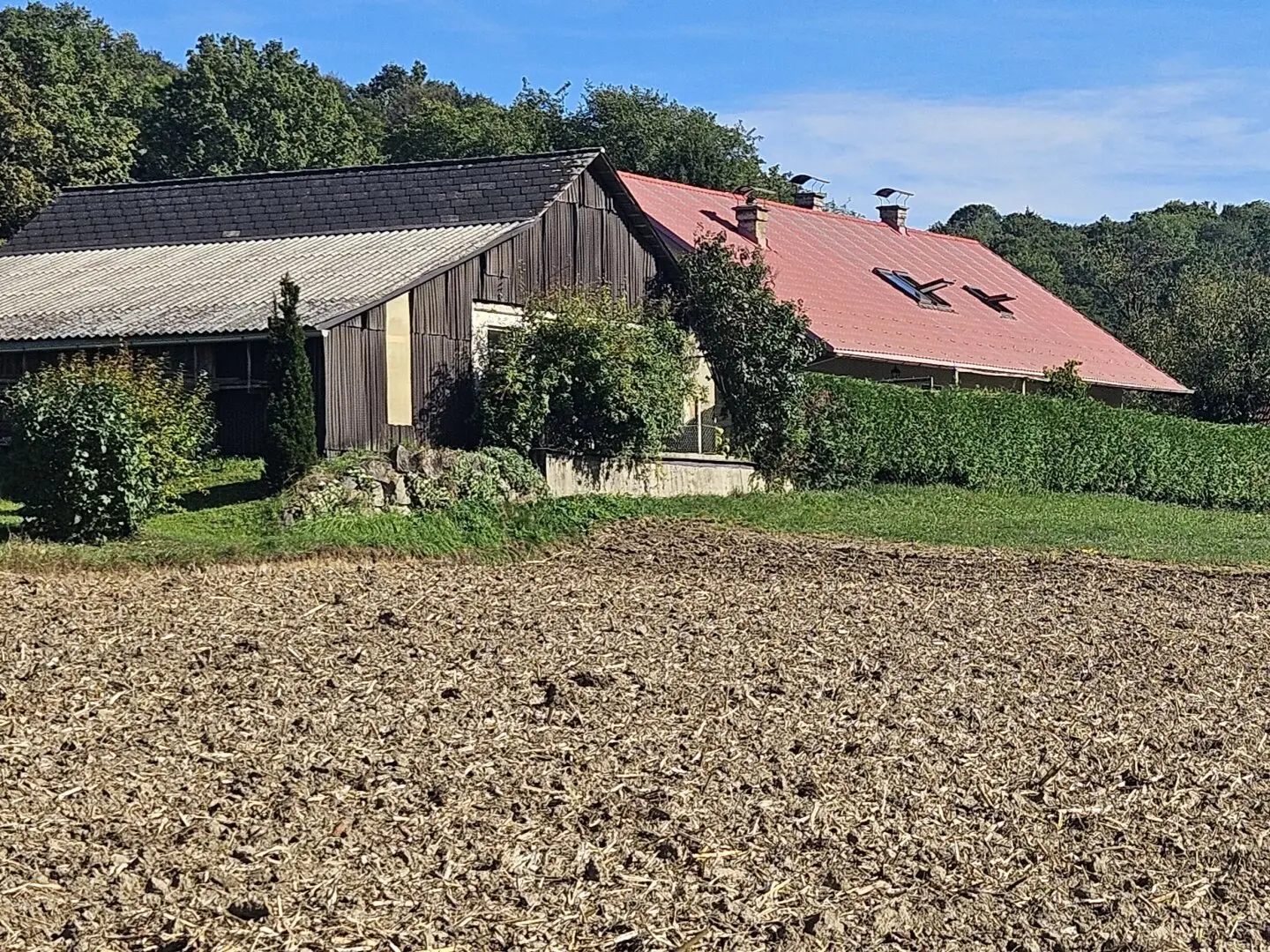 Immobilienbild 2