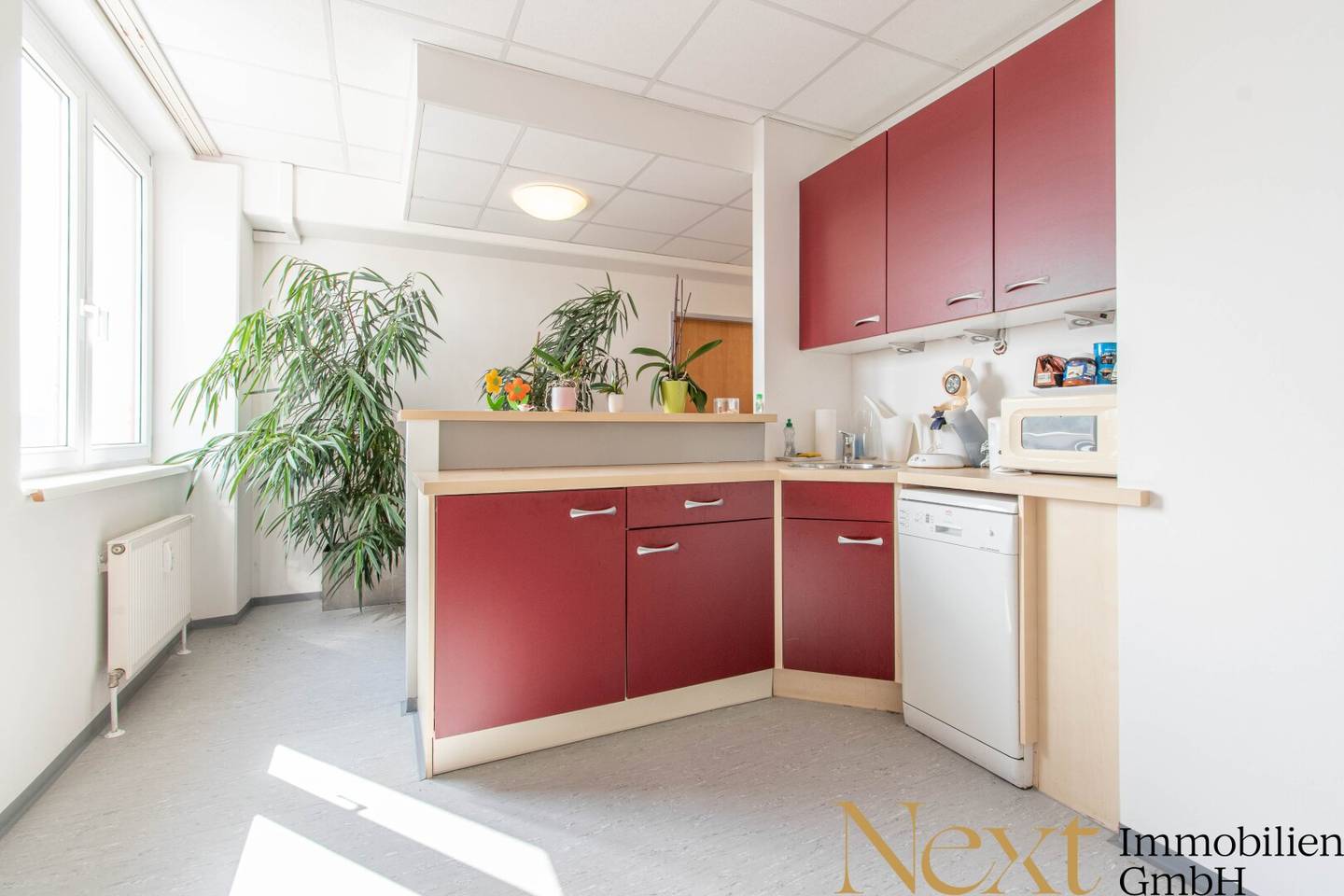 Spacious office space with excellent transport connections in GTZ Wels for rent