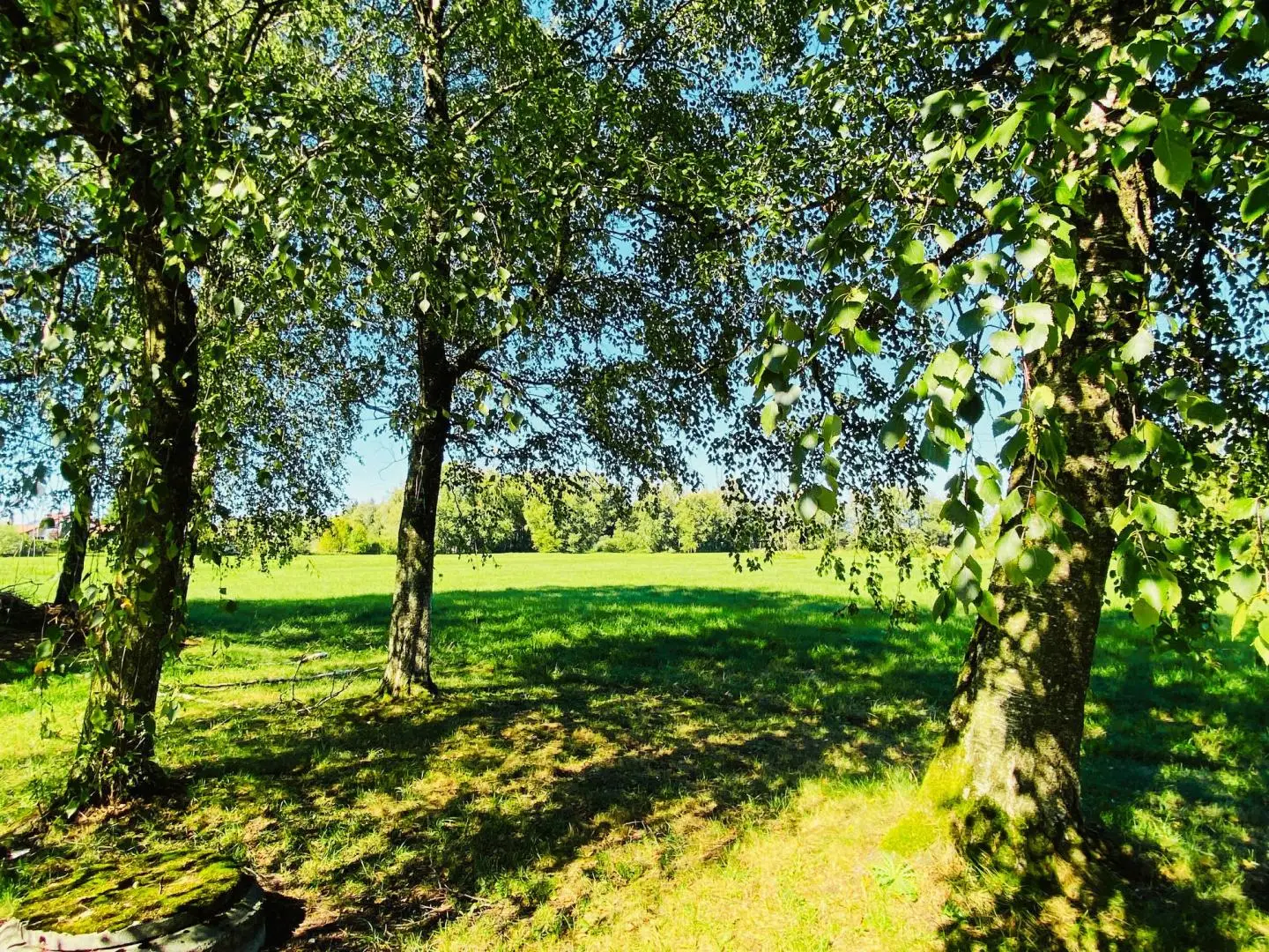 Familienwohnung mit Untersbergblick und sonniger Südwestlage
