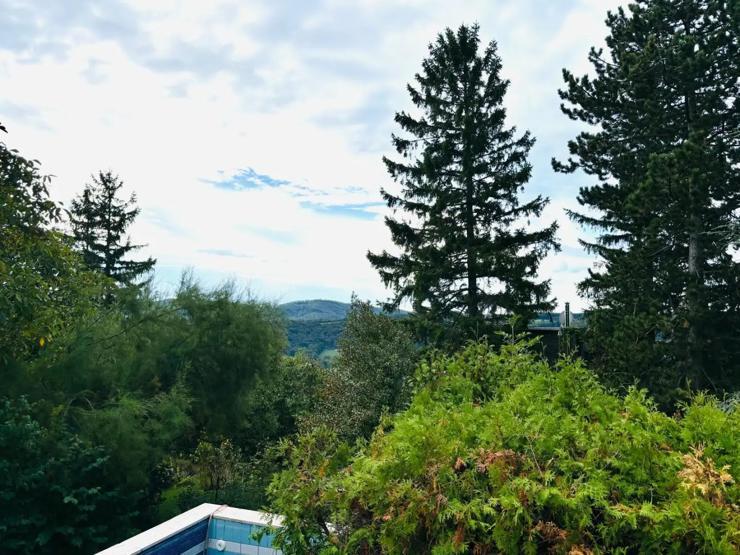 Privates Paradies in Klosterneuburg – Wohnen mit Pool und Ausblick