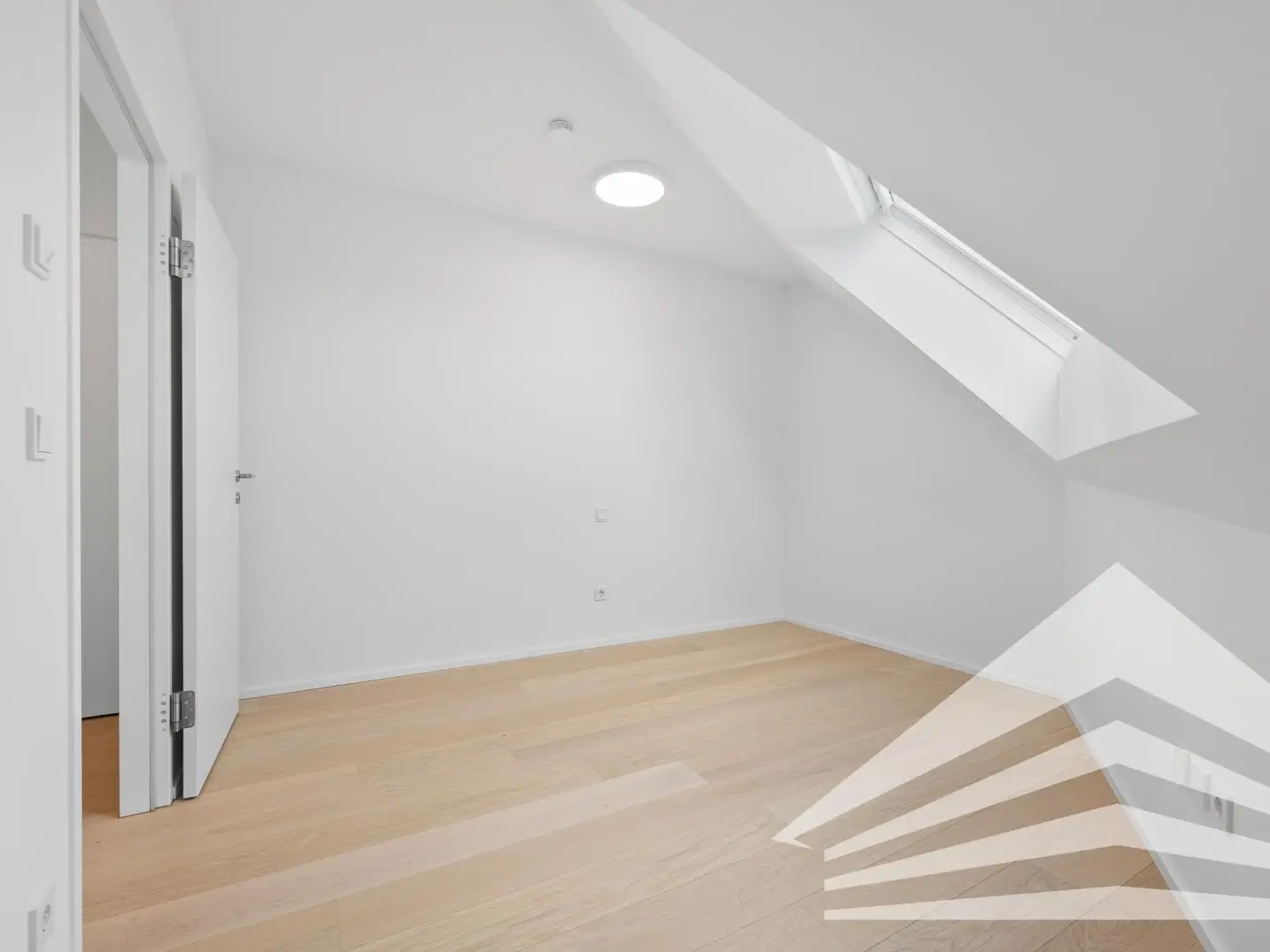 Zimmer DG1