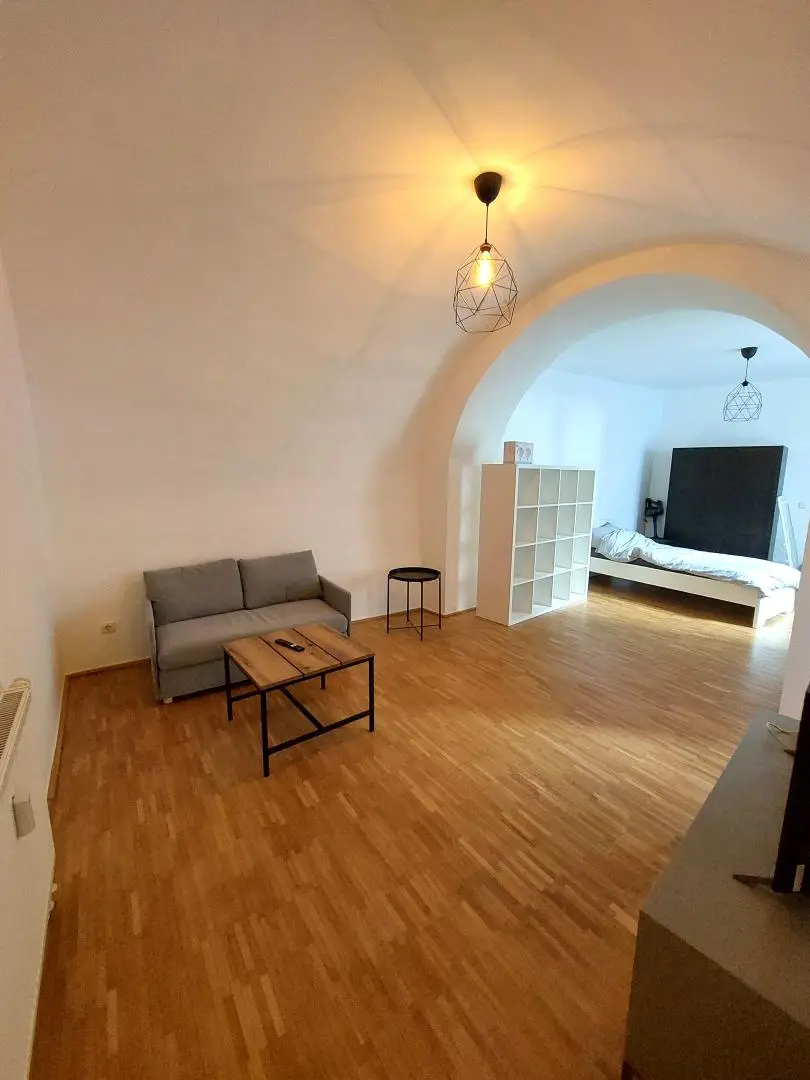 Vollmöblierte Altbauwohnung in Altstadtlage