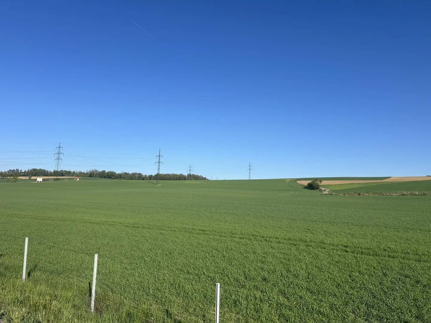 Stadtrandlage mit hoher Bodenkennzahl Wohnung
