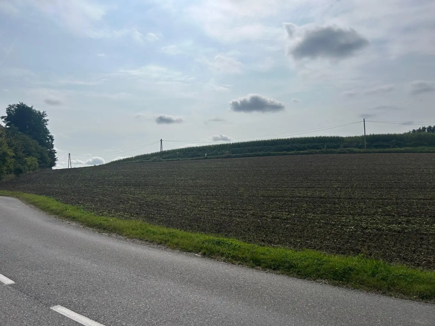 Sichtbare Lage an der Hauptstraße Wohnung