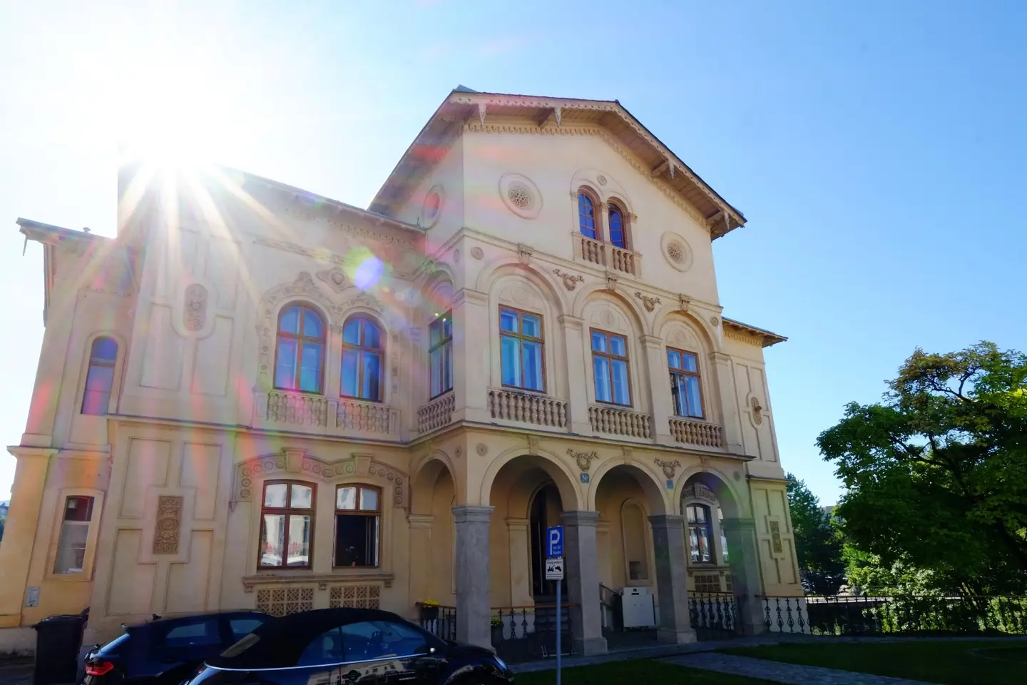 Historische Villa ALMEROTH im Stadtzentrum- Wohnen auf 250 m2 im OG plus 4 Untermieter