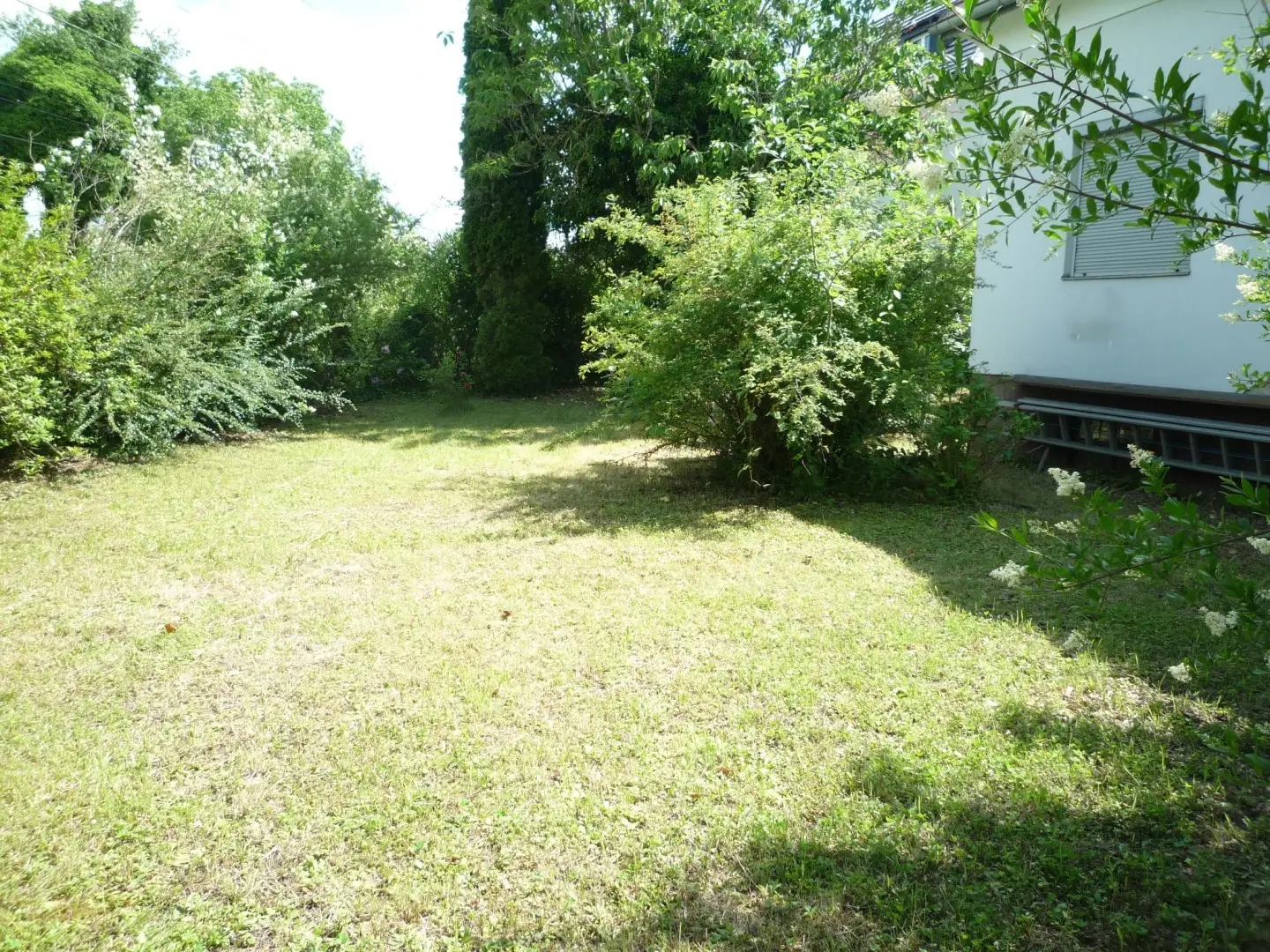 Central Wohnung near station with garage and plot