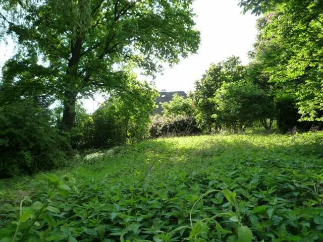 Sunny outlook in quiet hillside with mature trees Ferienwohnung