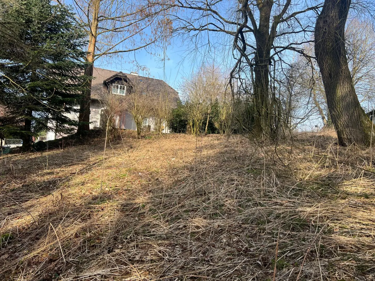 Sunny outlook in quiet hillside with mature trees Ferienwohnung