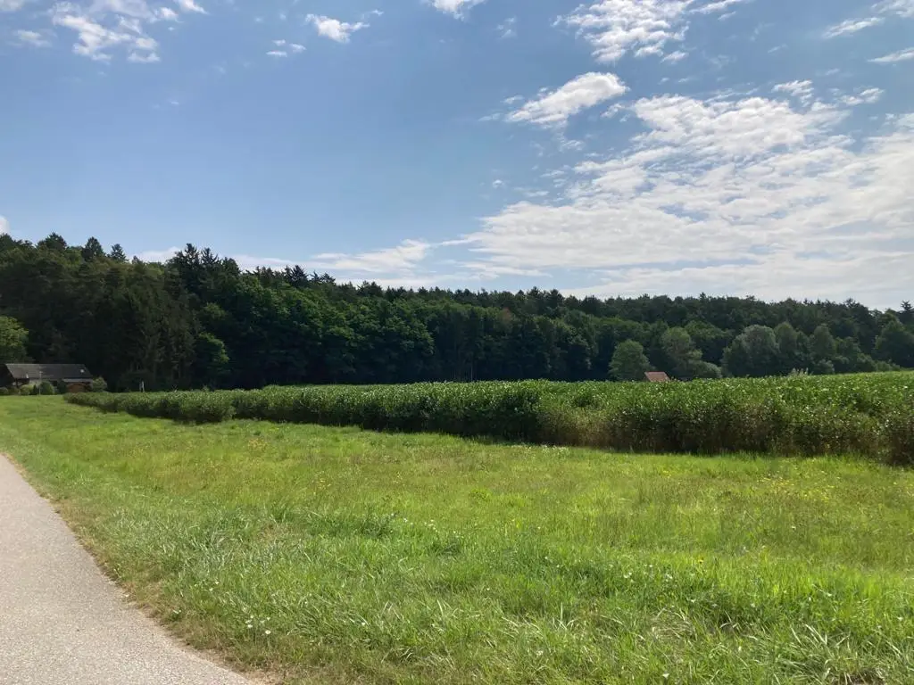 Ruhig gelegene Doppelbauparzelle mit Naturblick Wohnung