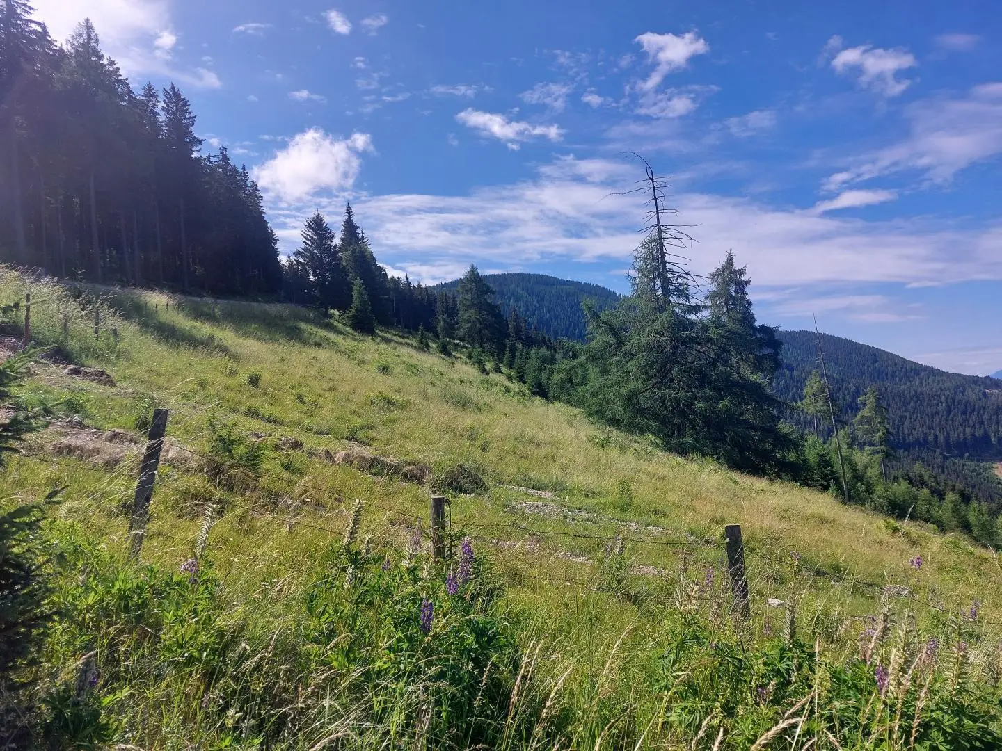 Sonnige Aussichtslage auf der Koralpe Ferienwohnung