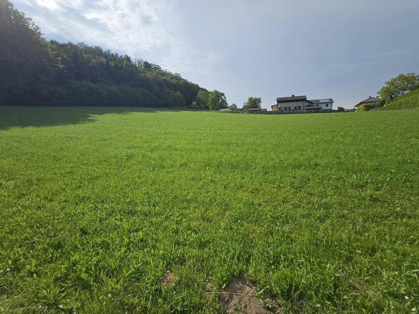 Sonnige Aussichtslage mit Baulandpotenzial Neubauwohnung