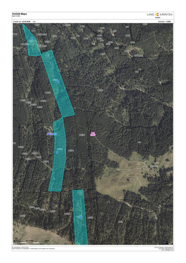 Large contiguous mixed forest holding Anlegerwohnung
