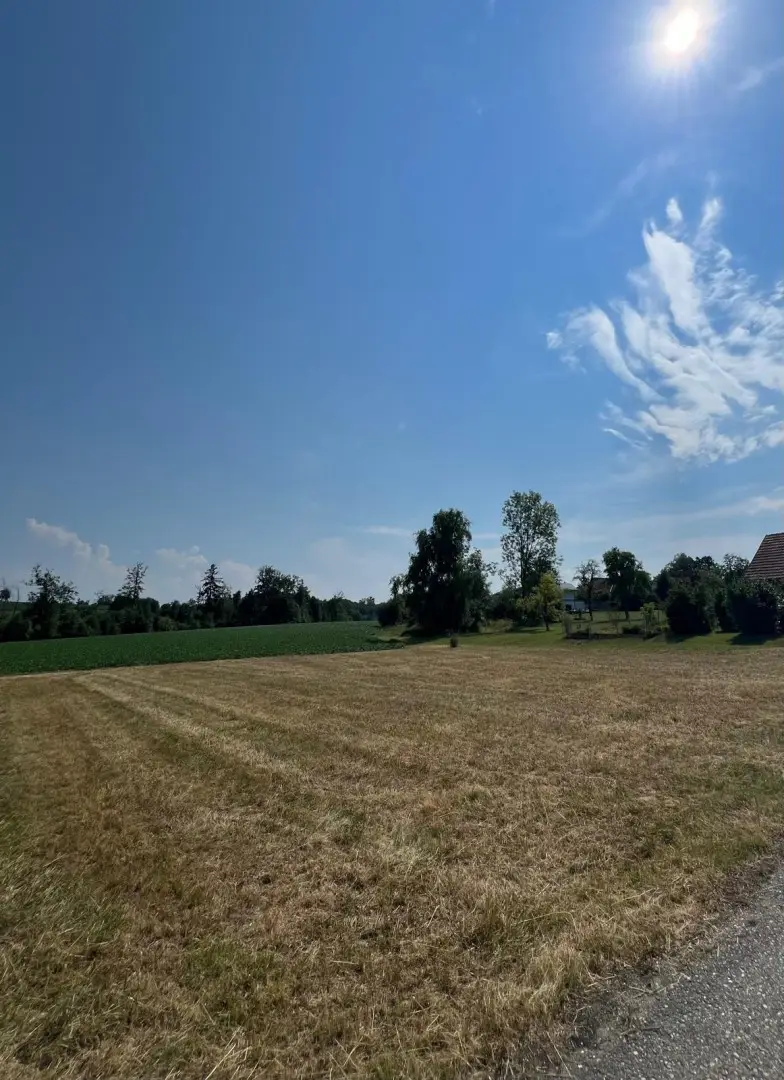 Sonniges Baugrundstück in ruhiger Wohnlage Wohnung
