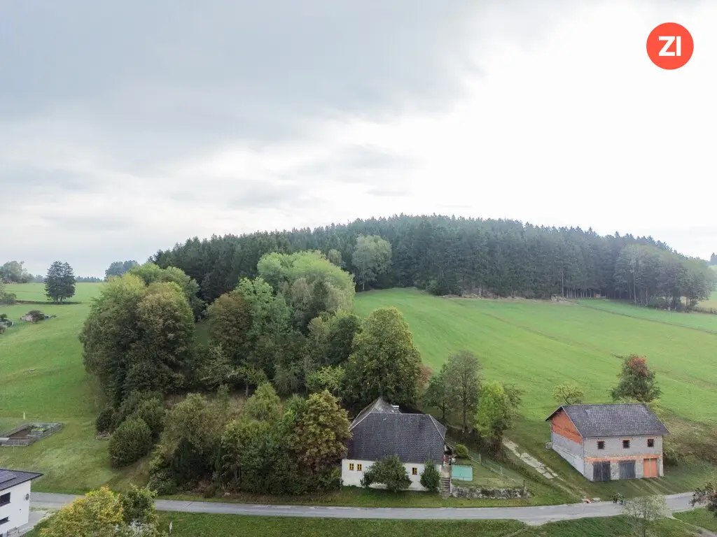 Ländliches Sacherl mit großem Garten Wohnung