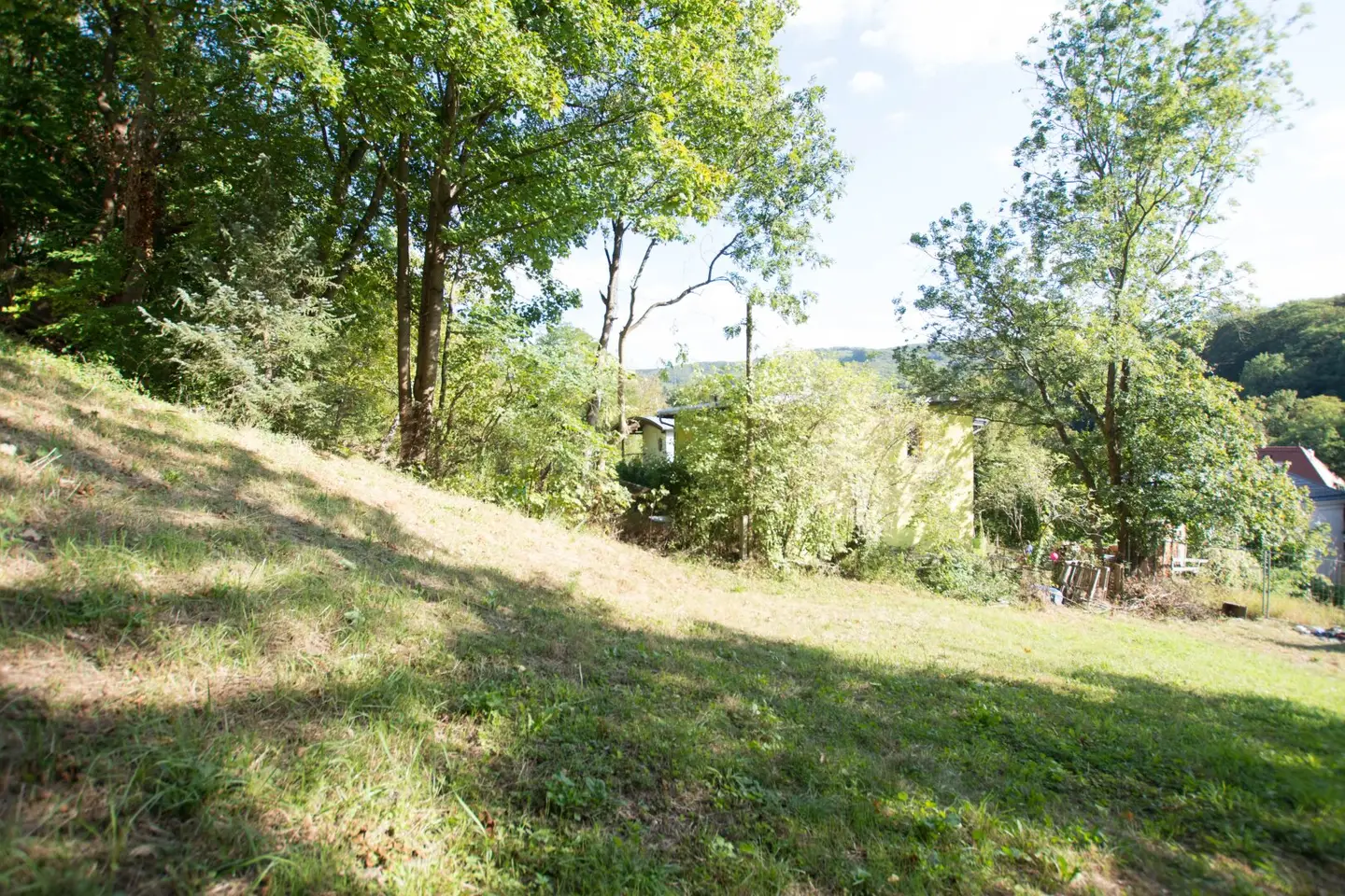 Haus am Südhang in absoluter Ruhelage mit Altbestand