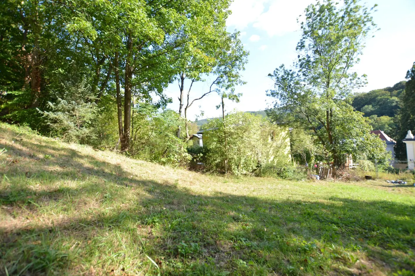 Haus am Südhang in absoluter Ruhelage mit Altbestand