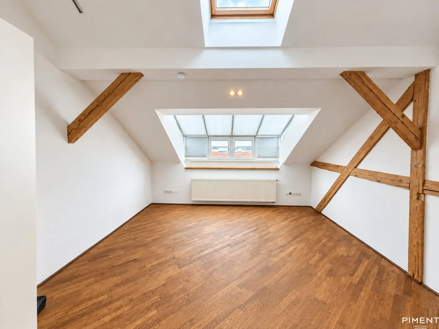 6 Room Terrace Apartment on Mariahilfer Straße