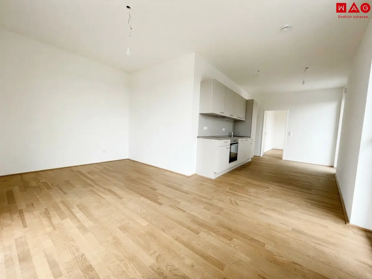 New build 2-room apartment with huge balcony