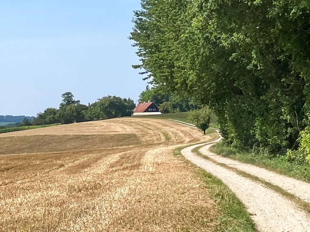 Historisches Anwesen mit Glashaus Familienwohnung