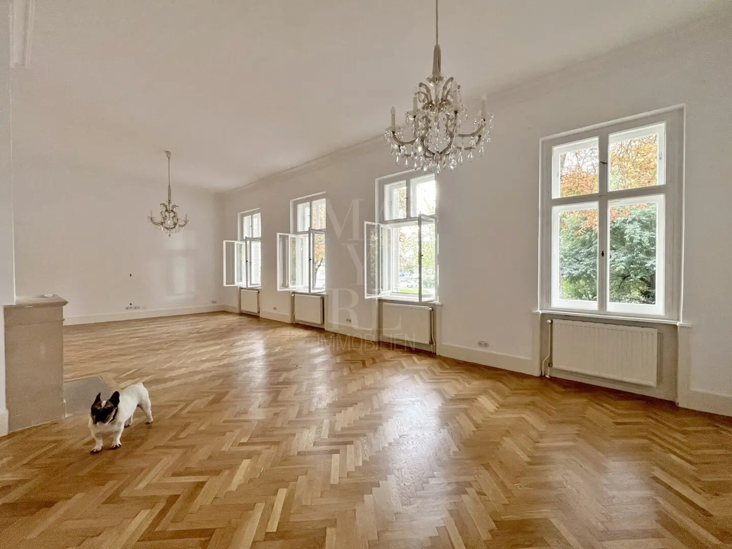 entzückendes Altwienerhaus mit Garten und Pool