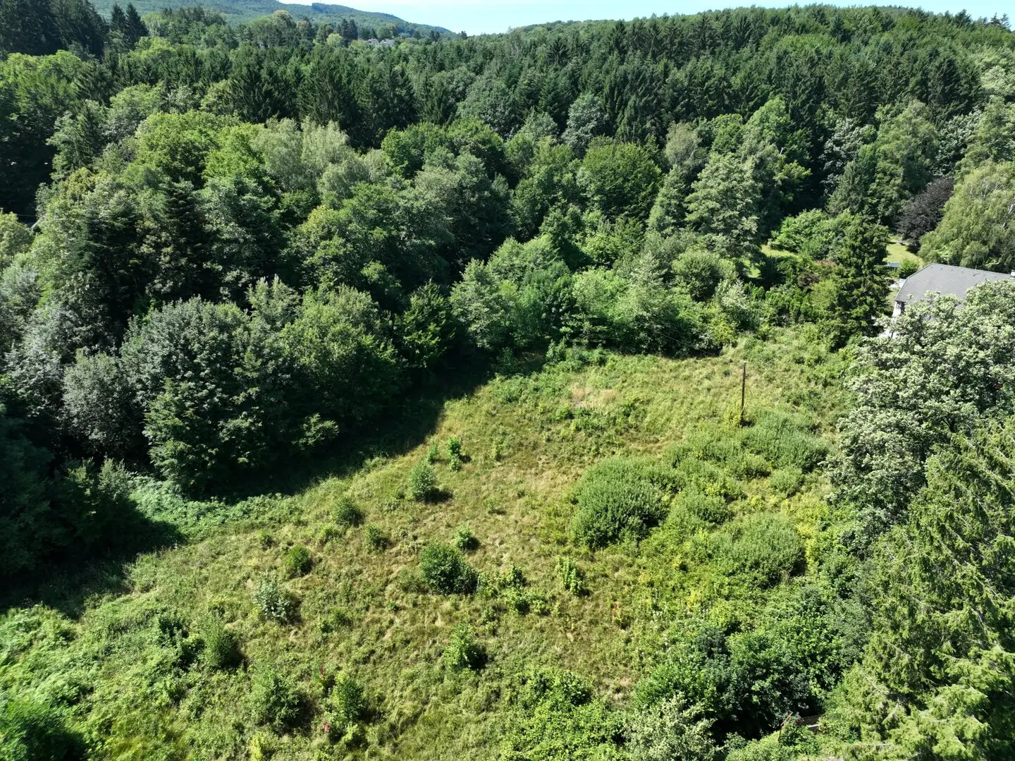 Ein Bauplatz mit außergewöhnlicher Freifläche – 3.154 m² in Pressbaum