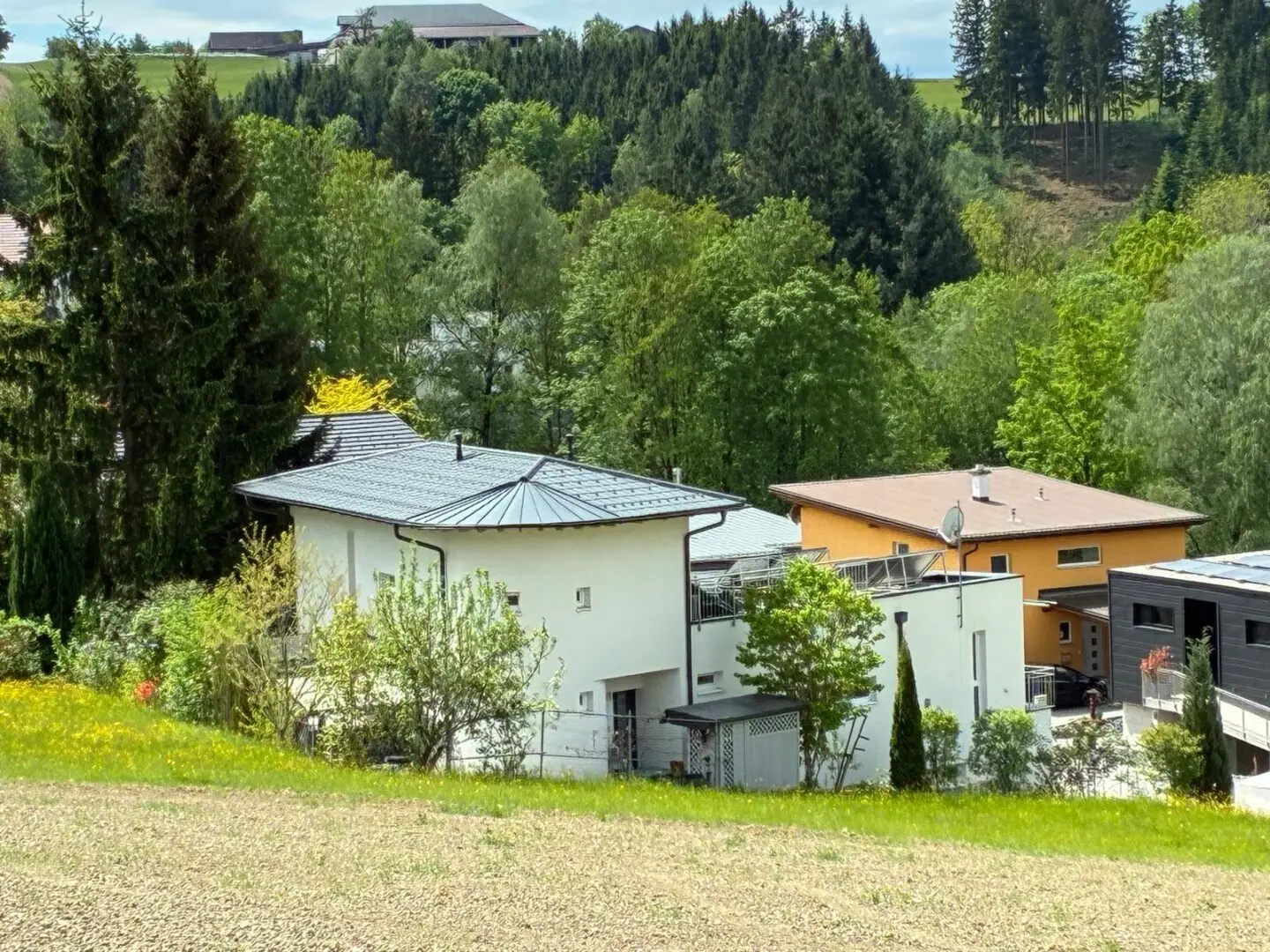 Like-new ARCHITECT-DESIGNED HILLSIDE HOUSE in sunny prime location