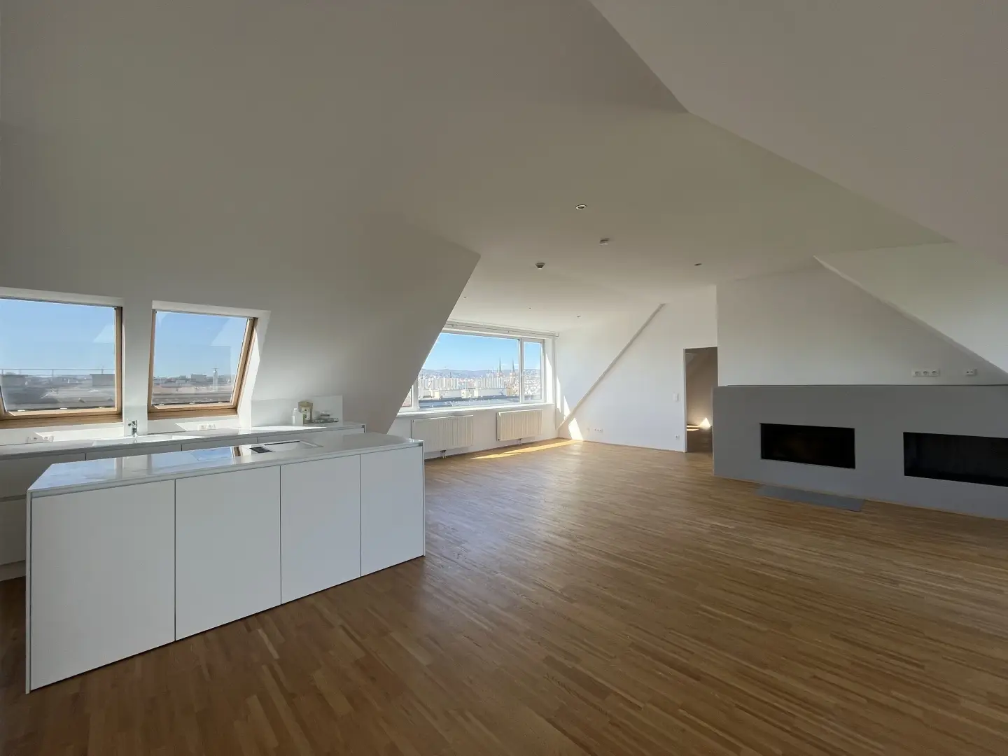 Dachgeschosswohnung with roof terrace and Stephansdom view
