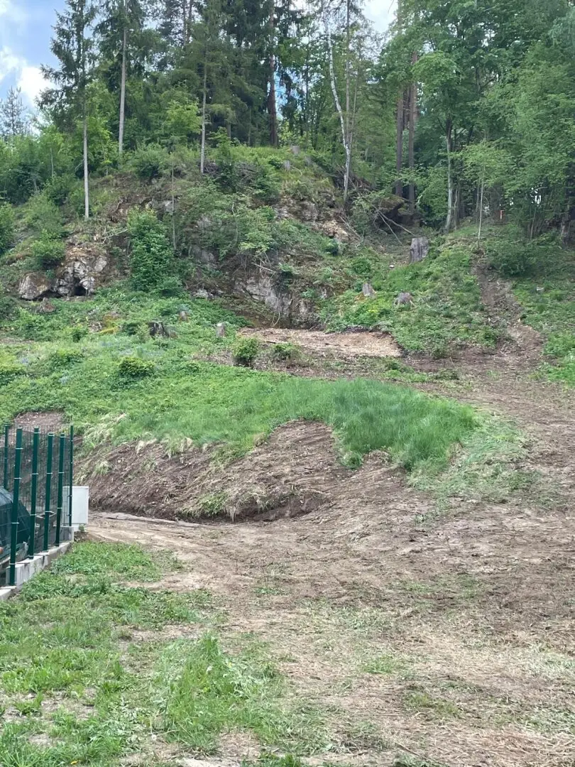 Wo Natur auf Bauland trifft – großzügiges Grundstück in Ruhelage