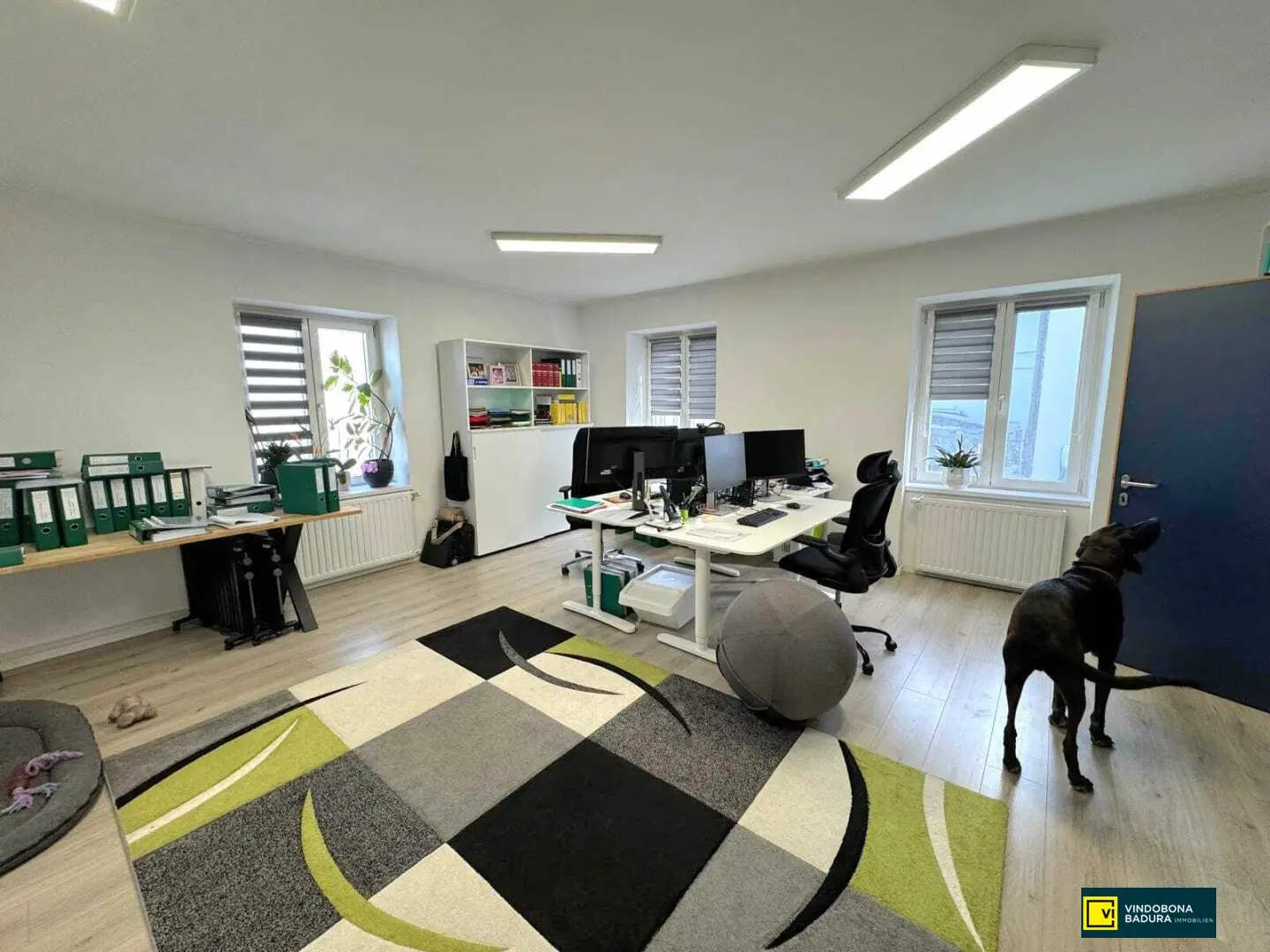 Attraktive Bürofläche in Traiskirchen | 123 m² | Ruhige Lage