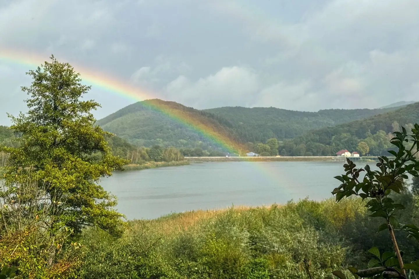 Wohnen am Bartberg - Ihr Bauplatz in traumhafter Grünlage am Wienerwaldsee