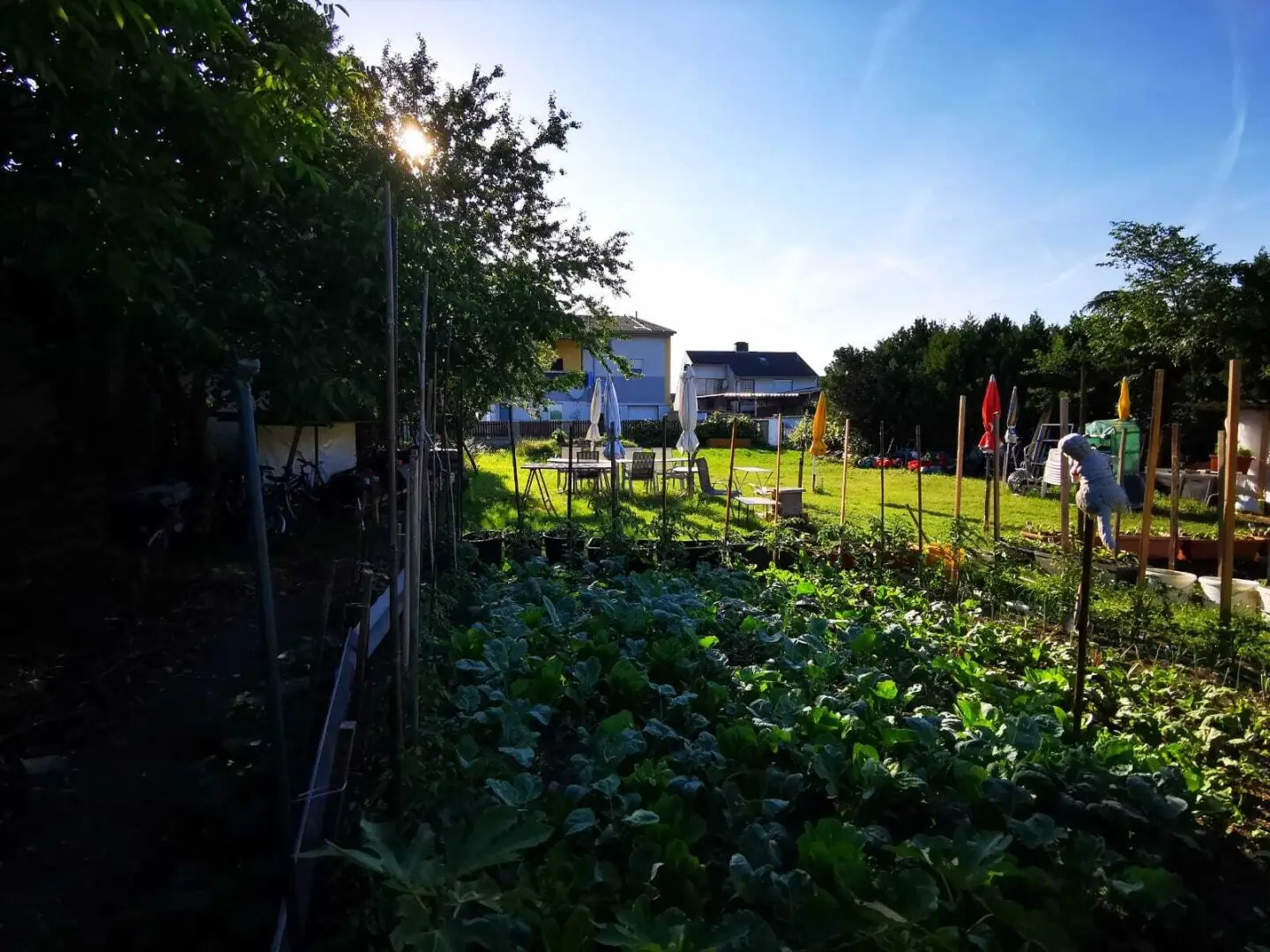 Platz für Ihr Traumhaus - sonniges Baugrundstück in ruhiger Lage!