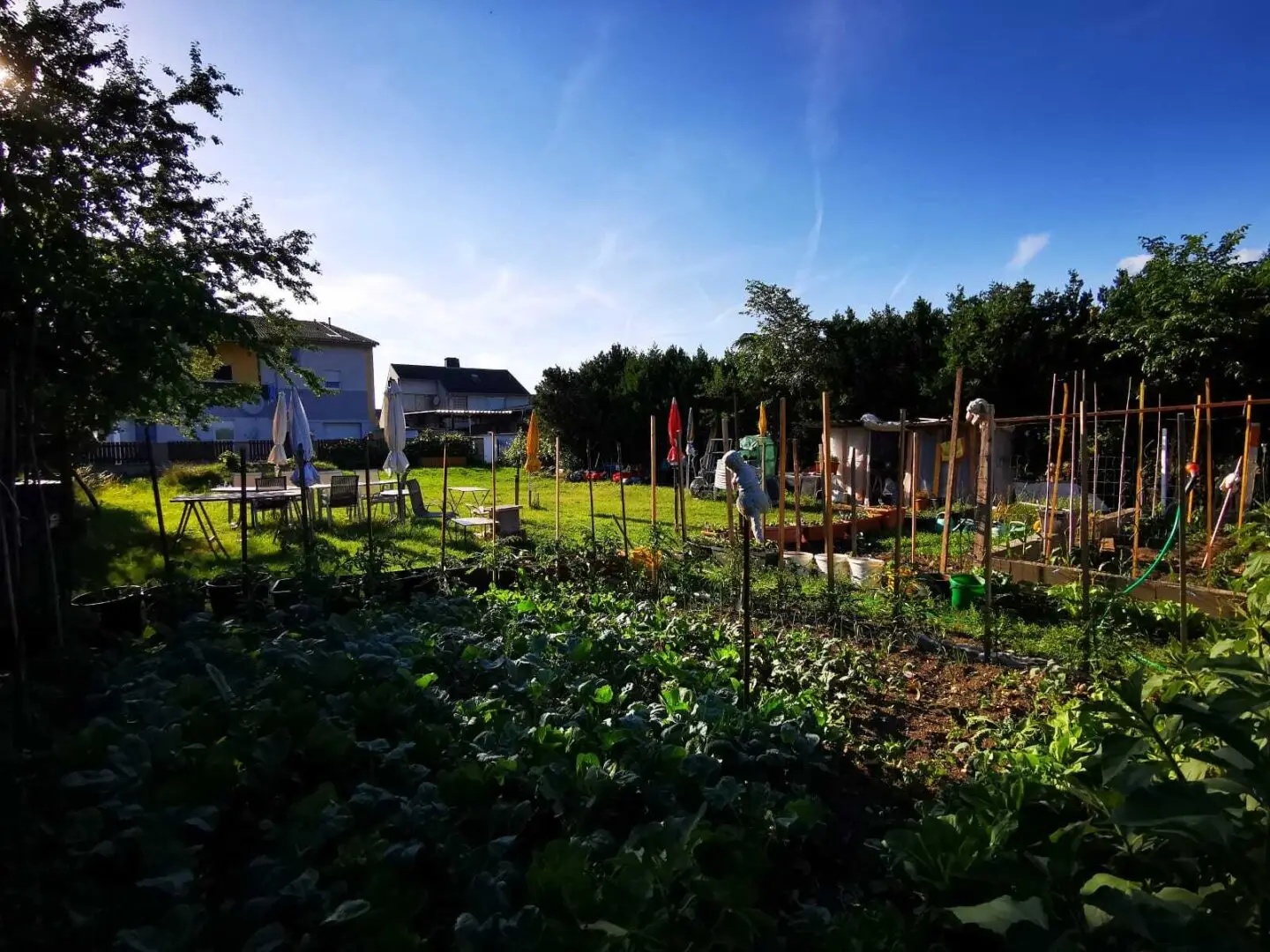 Platz für Ihr Traumhaus - sonniges Baugrundstück in ruhiger Lage!