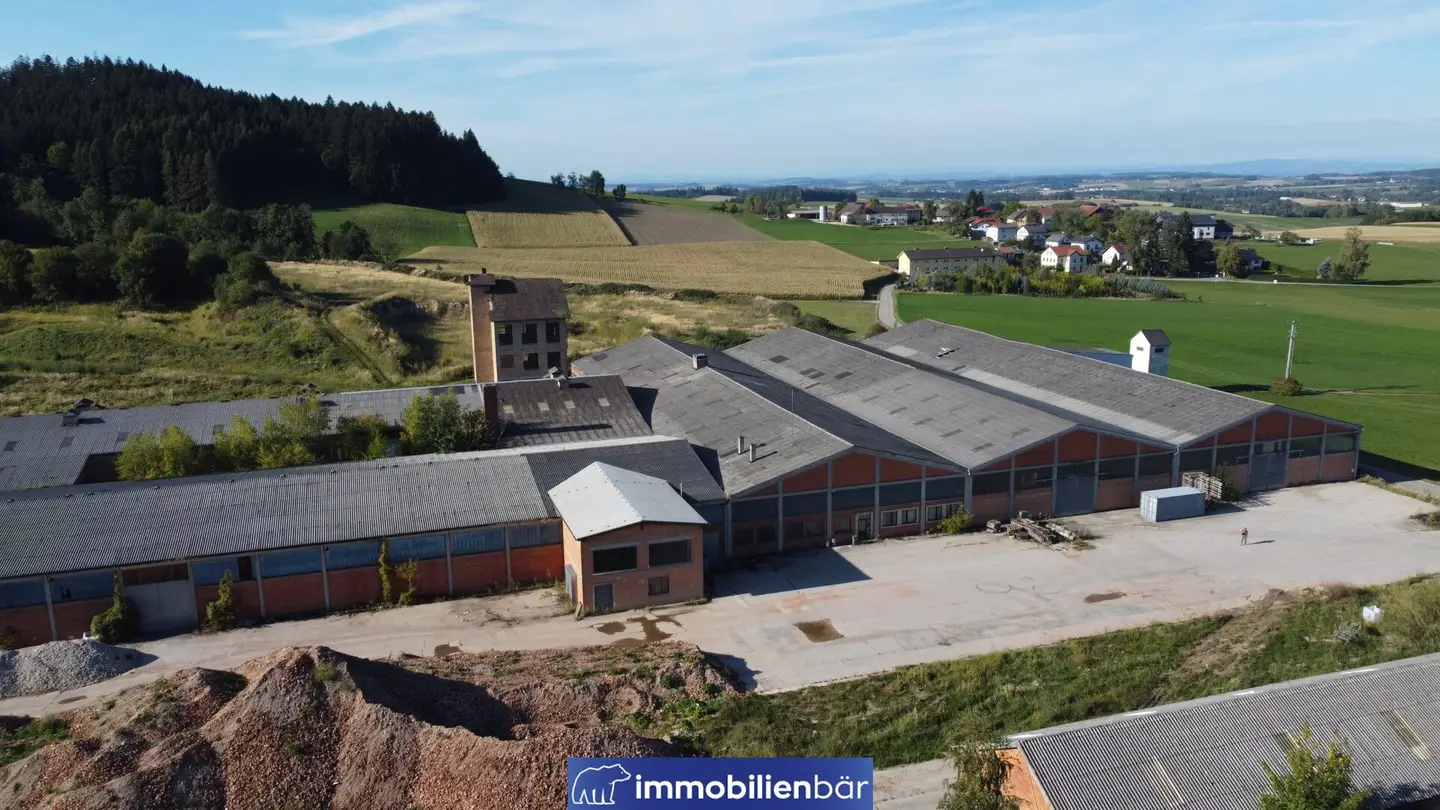 10.000 m2 KALTLAGERHALLEN – Kauf oder flexible Teilanmietung