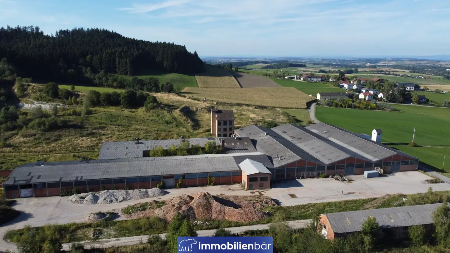 10.000 m2 KALTLAGERHALLEN – Kauf oder flexible Teilanmietung