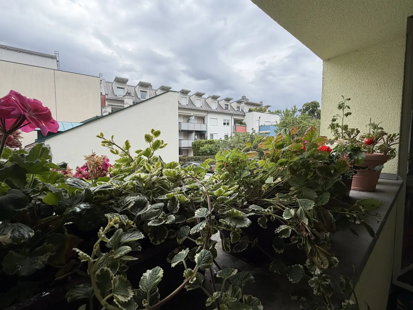 Wohnung mit Morgensonne in ruhiger Lage