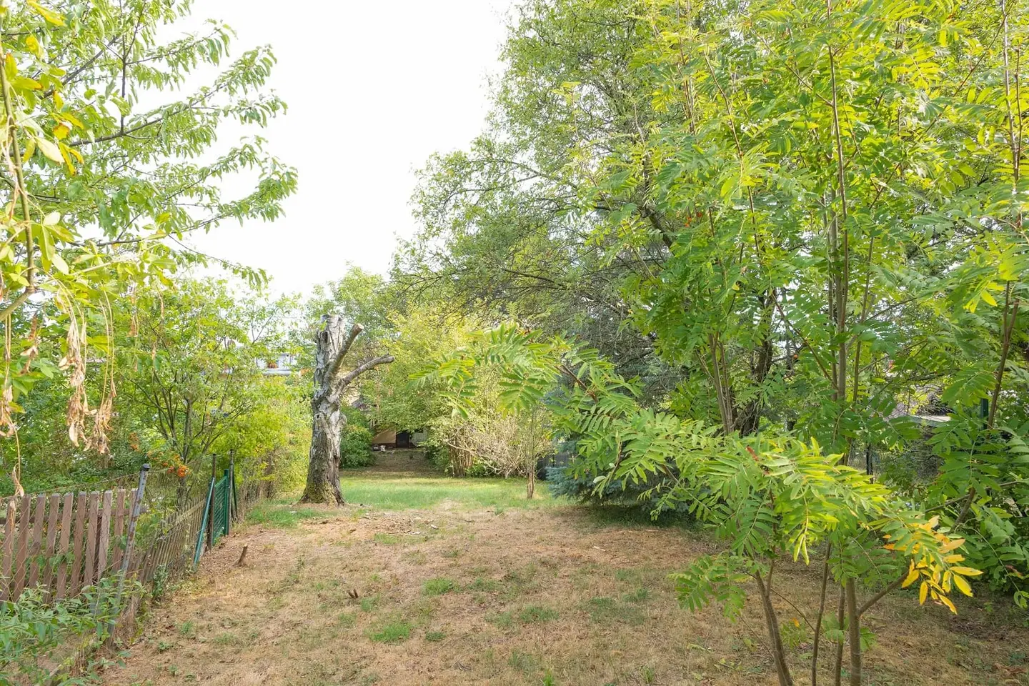 Entwicklungspotenzial und großer Garten Wohnung nahe Lainzer Tiergarten