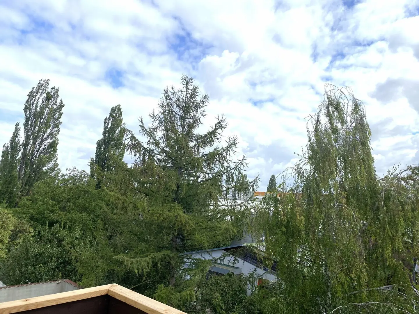 Where nature begins at your doorstep: Sport, relaxation and a new home in Liesing