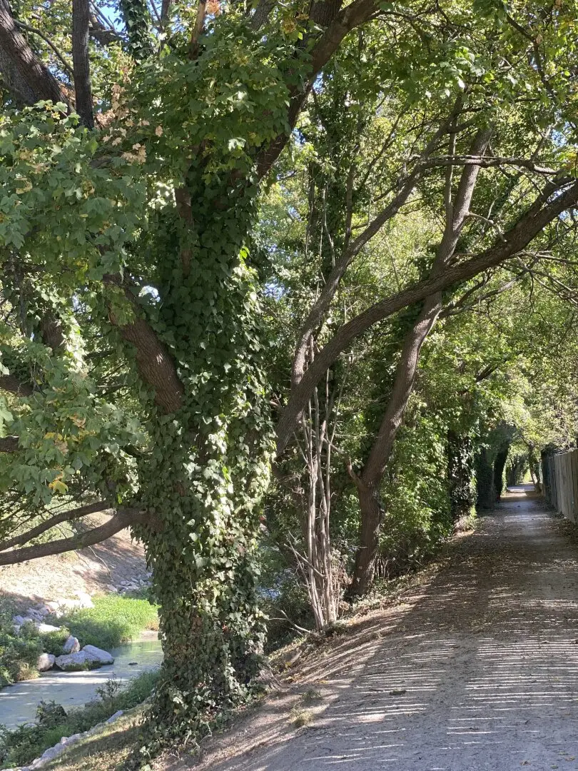 Where nature begins at your doorstep: Sport, relaxation and a new home in Liesing