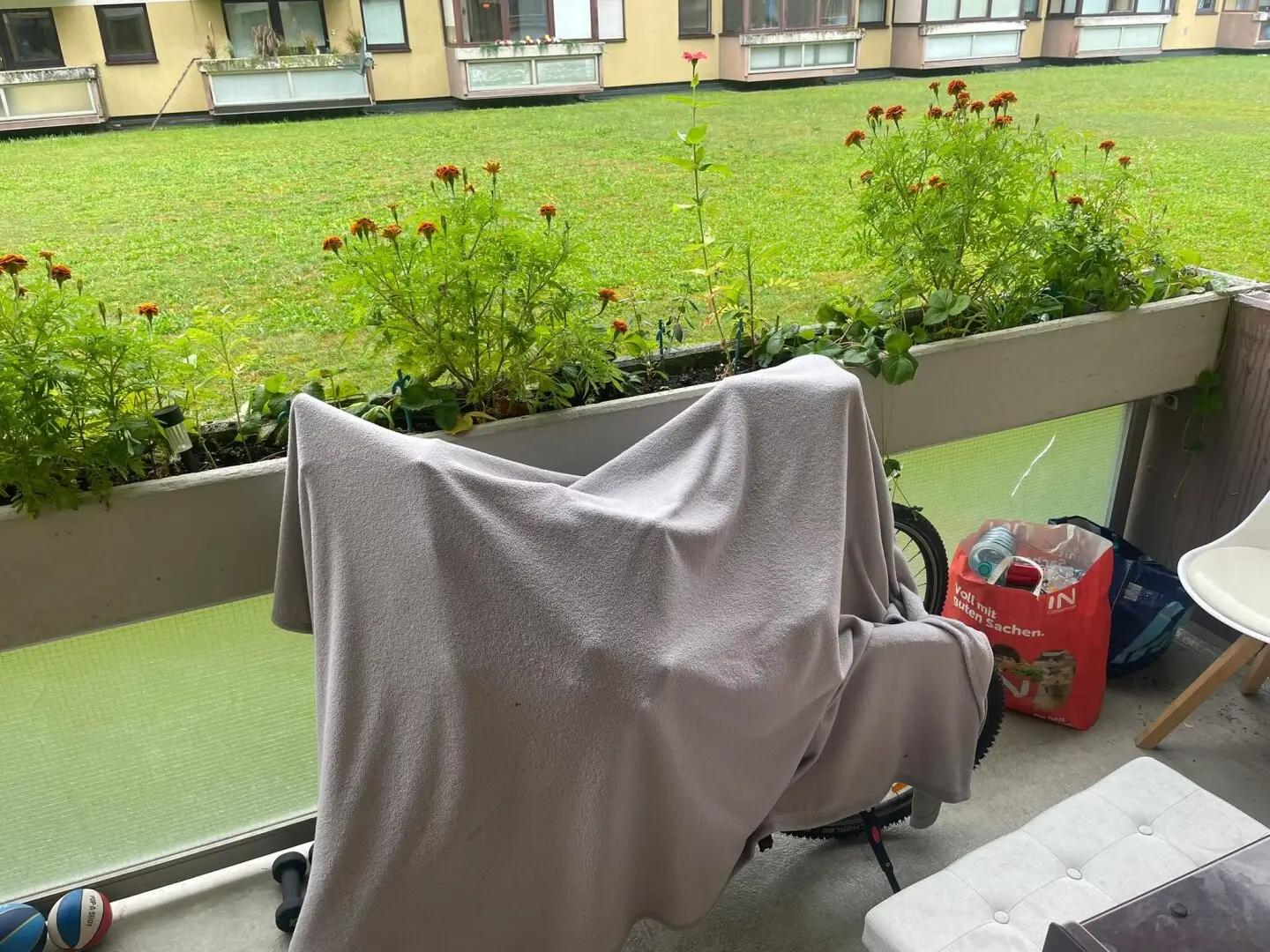 Immobilienbild 4