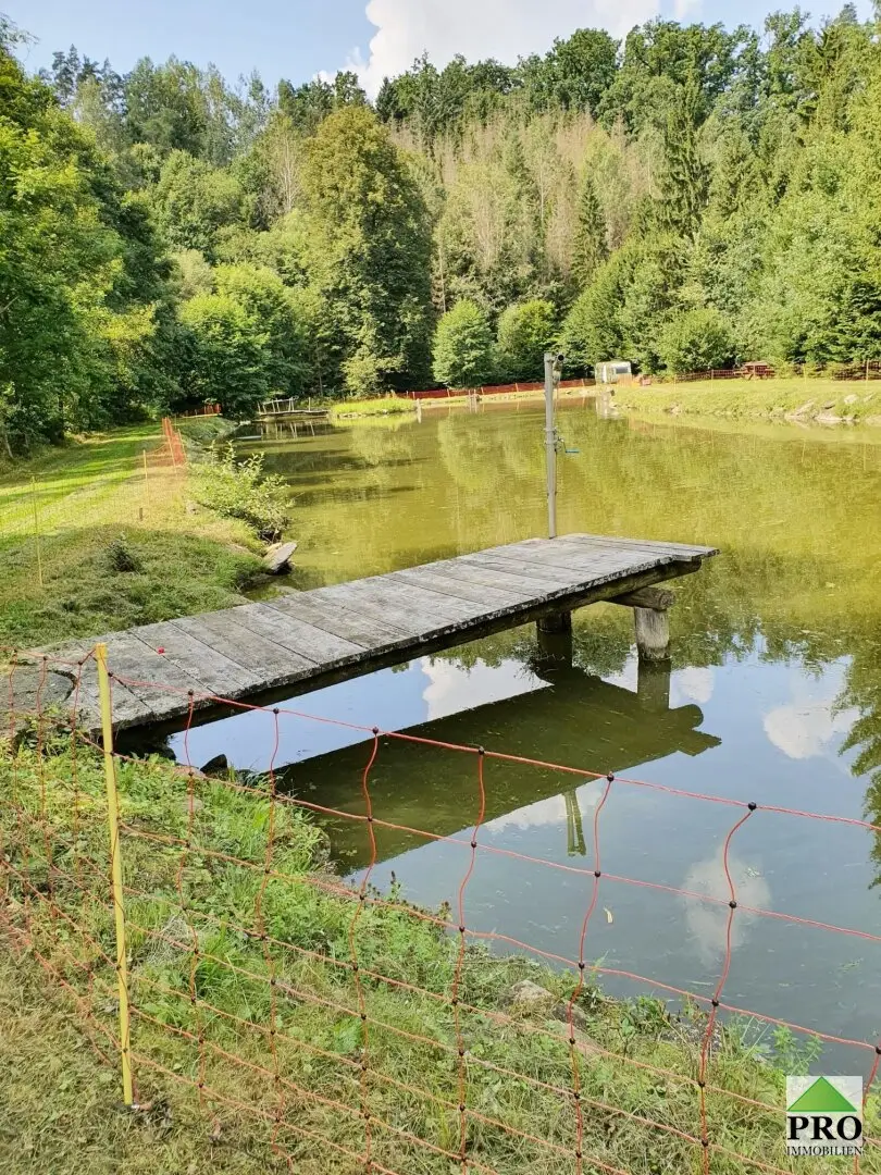 THUMERITZ REFUGE WALDVIERTEL Fish Ponds
