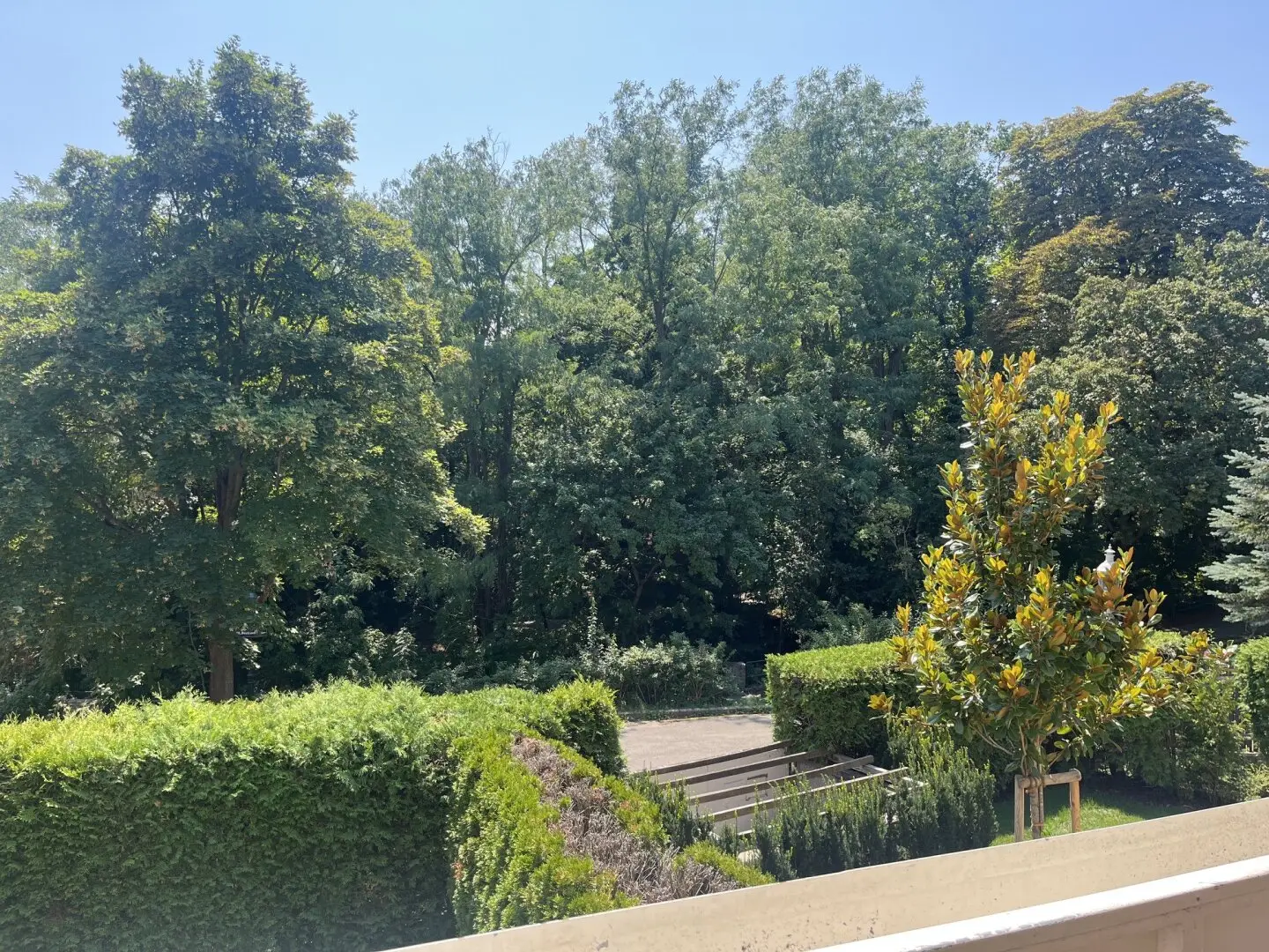 Immobilienbild 3