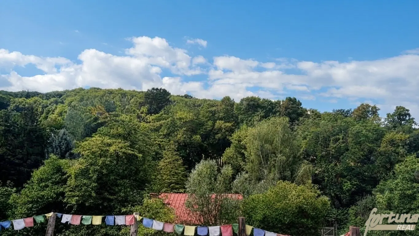 Renovierte 1900er-Jahre Villa in Alleinlage – Ruhe und Natur pur am Berg