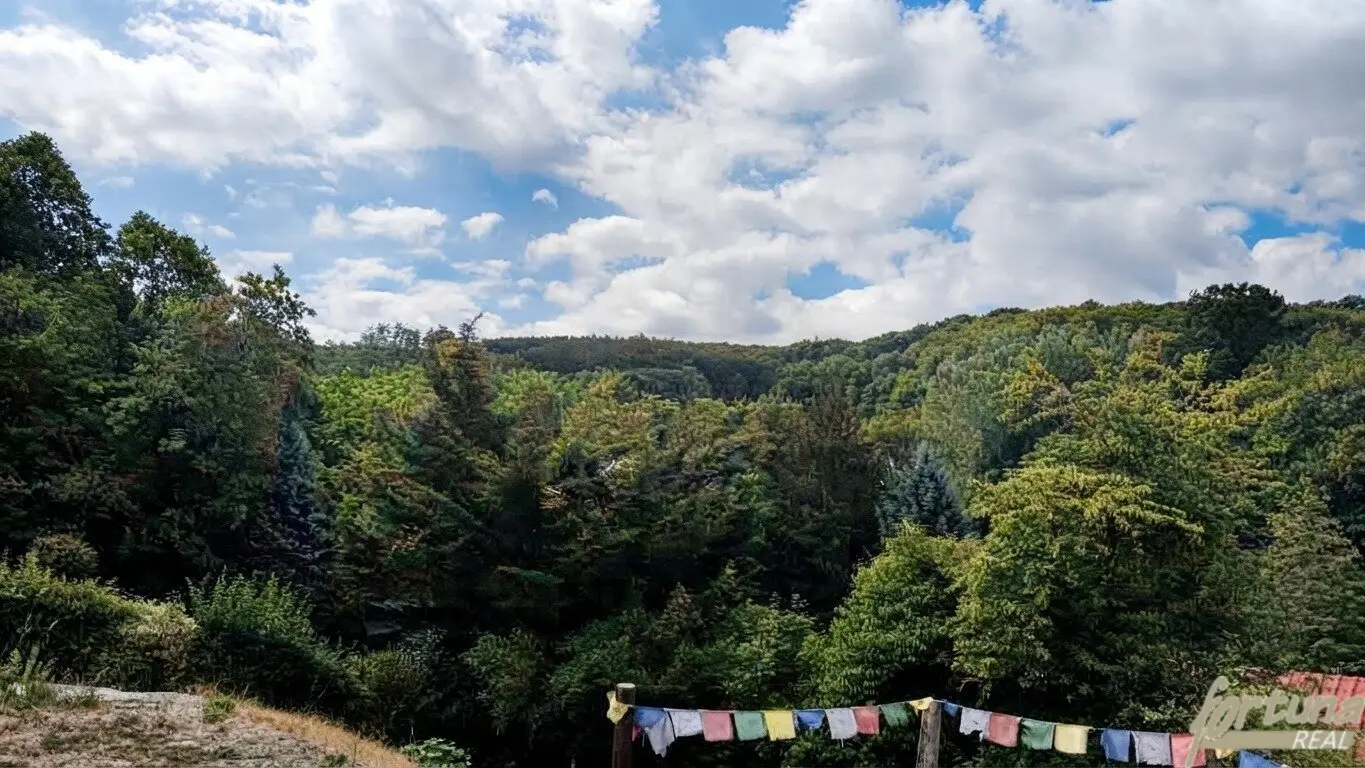 Renovierte 1900er-Jahre Villa in Alleinlage – Ruhe und Natur pur am Berg