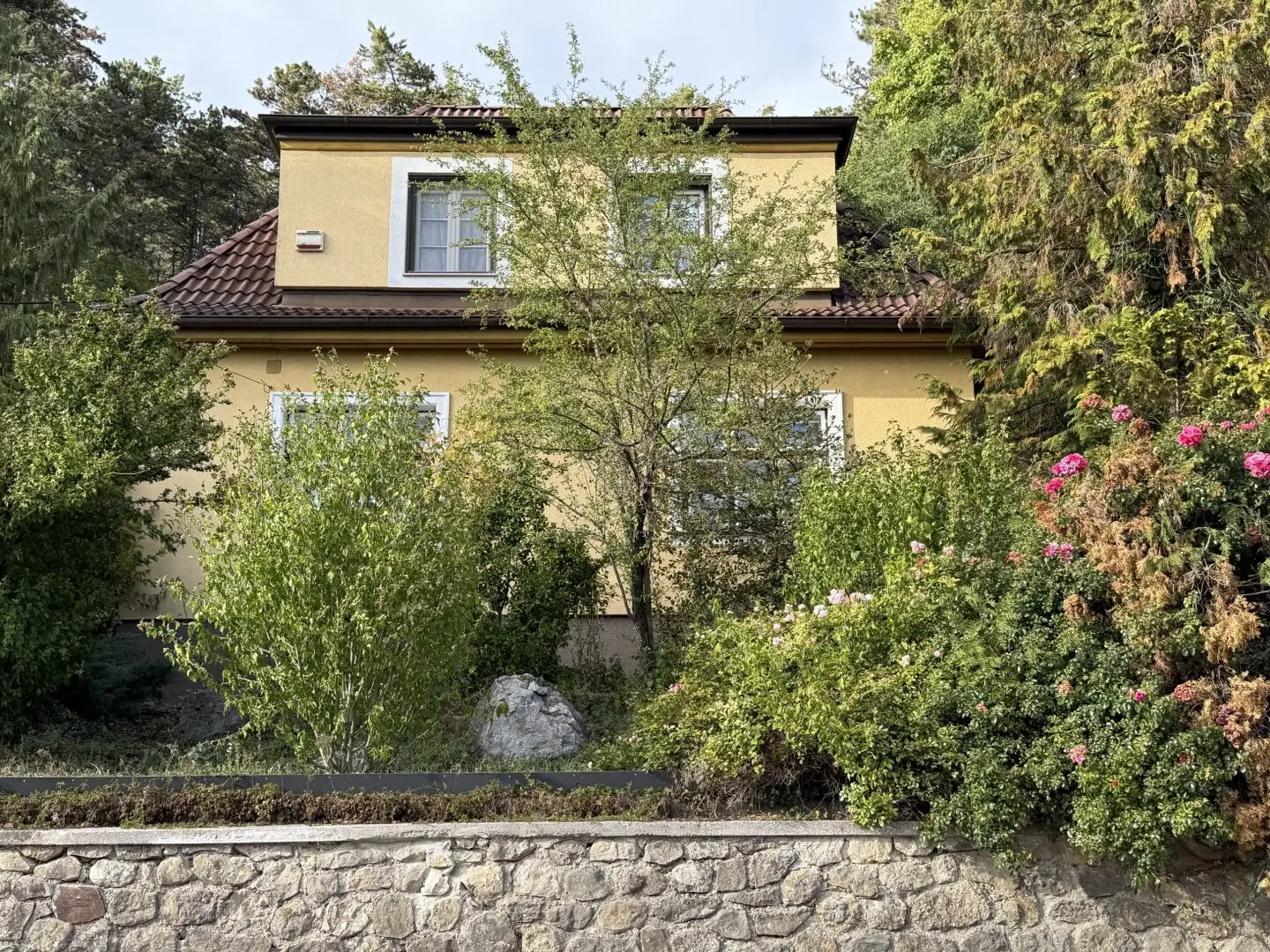 Leben in der Natur - tolle Ruhelage im Grünen - Haus mit Garten - Markt Piesting