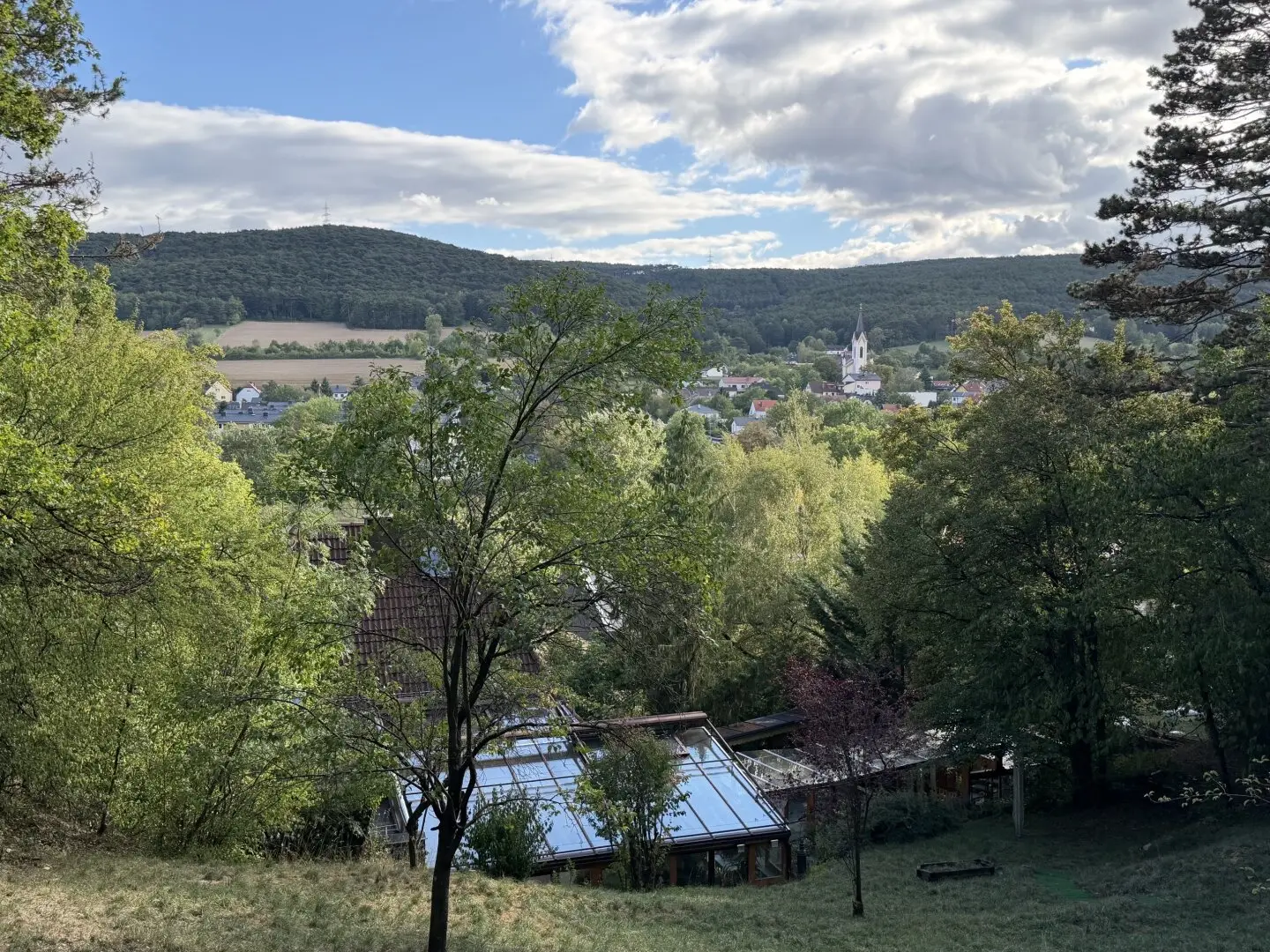 Leben in der Natur - tolle Ruhelage im Grünen - Haus mit Garten - Markt Piesting
