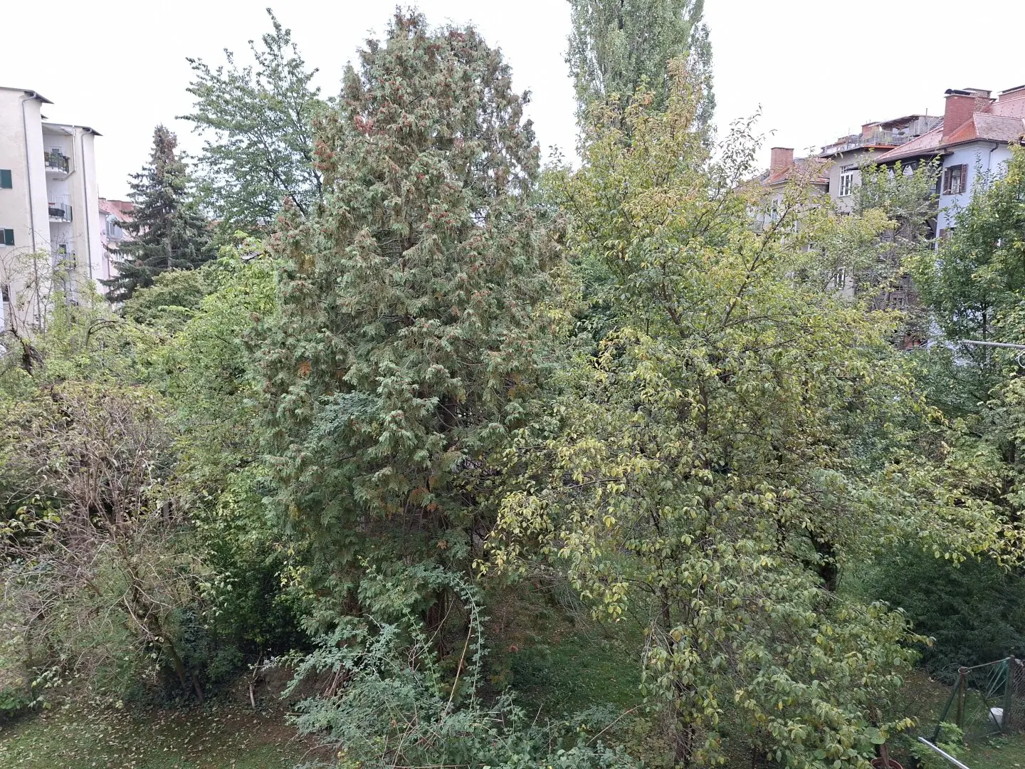 Dreamlike bright and well laid out 83.73m² old building apartment (1st floor) near Herz-Jesu Church