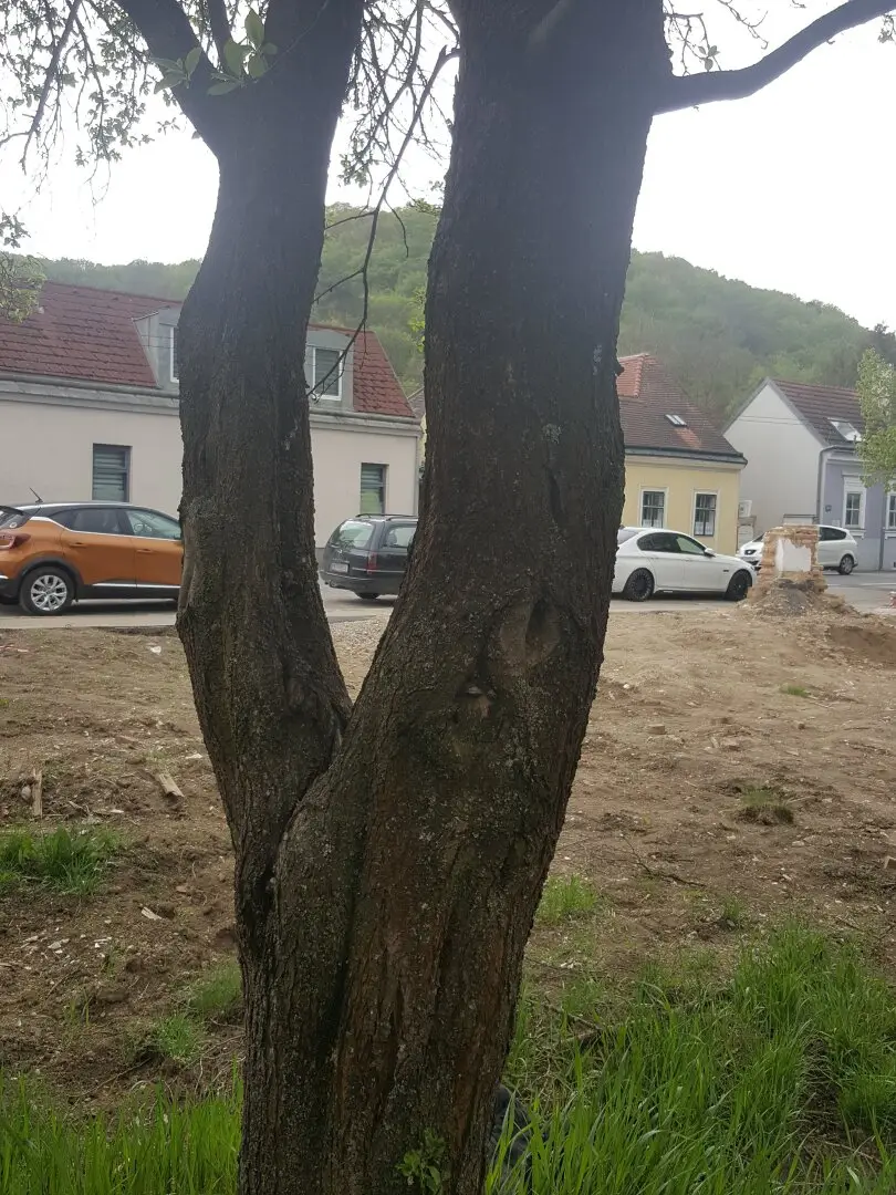 Großzügiges Grundstück in schöner Naturlage...