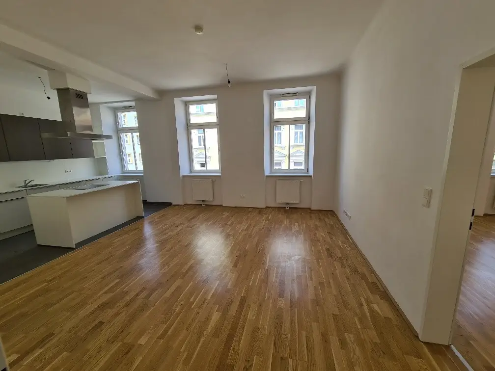 Altbauwohnung modernisiert 2012 ruhig und hell
